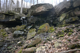 McNeilly West Falls