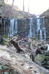 Veever's Falls