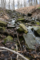 Smith Cascade
