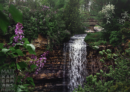 Borer's Falls