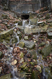 Lower Little Falls