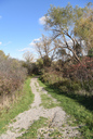 Dartnall Rd Bird Sanctuary