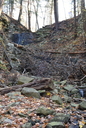 Shaver Falls : Autumn