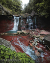 Lower Chedoke Falls