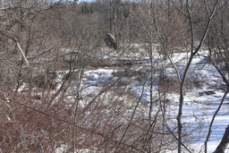 Hunter Falls