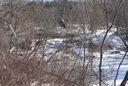 Hunter Falls