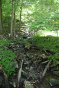 Sisters of Mary Falls