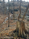 Auchmar Falls