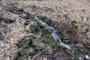 Smith Cascade