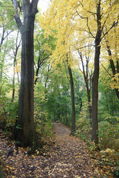 Dundas Valley CA
