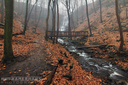 Sherman Falls
