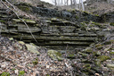 Lewis Rd. East Falls