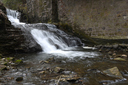 Lower Mill Falls