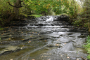 Billy Monkley Cascade