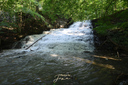 Stephanie Falls