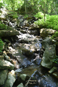 Sisters of Mary Falls