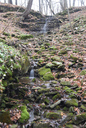 Griffin Falls