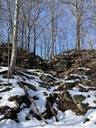 Maple Falls East - Dry