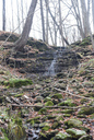 Griffin Falls