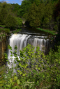 Webster's Falls