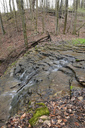 Steven's Falls