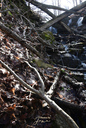 Puddicombe Falls