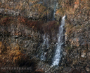 Clappison Falls