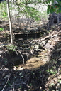 Wesley Cascade : Autumn