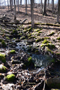 Grand Cascade