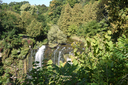 Webster's Falls