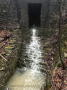 Vinemount West Falls