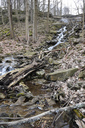 Sisters of Mary Falls