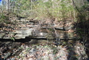 Patterson West Cascade : Autumn
