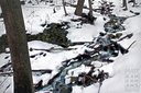 Lower Beckett Falls