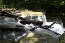 Little Davis Falls