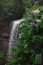 Borer's Falls