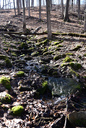 Grand Cascade
