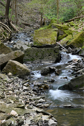 Tiffany Creek