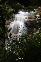Great Falls