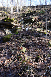 Mountain Spring Falls