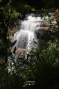 Great Falls