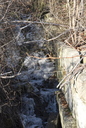 Maple Falls : Frozen