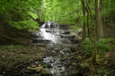 Stephanie Falls