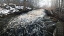 Billy Monkley Cascade