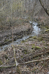 Battlefield Creek