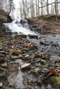 Stephanie Falls