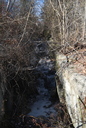 Maple Falls : Frozen
